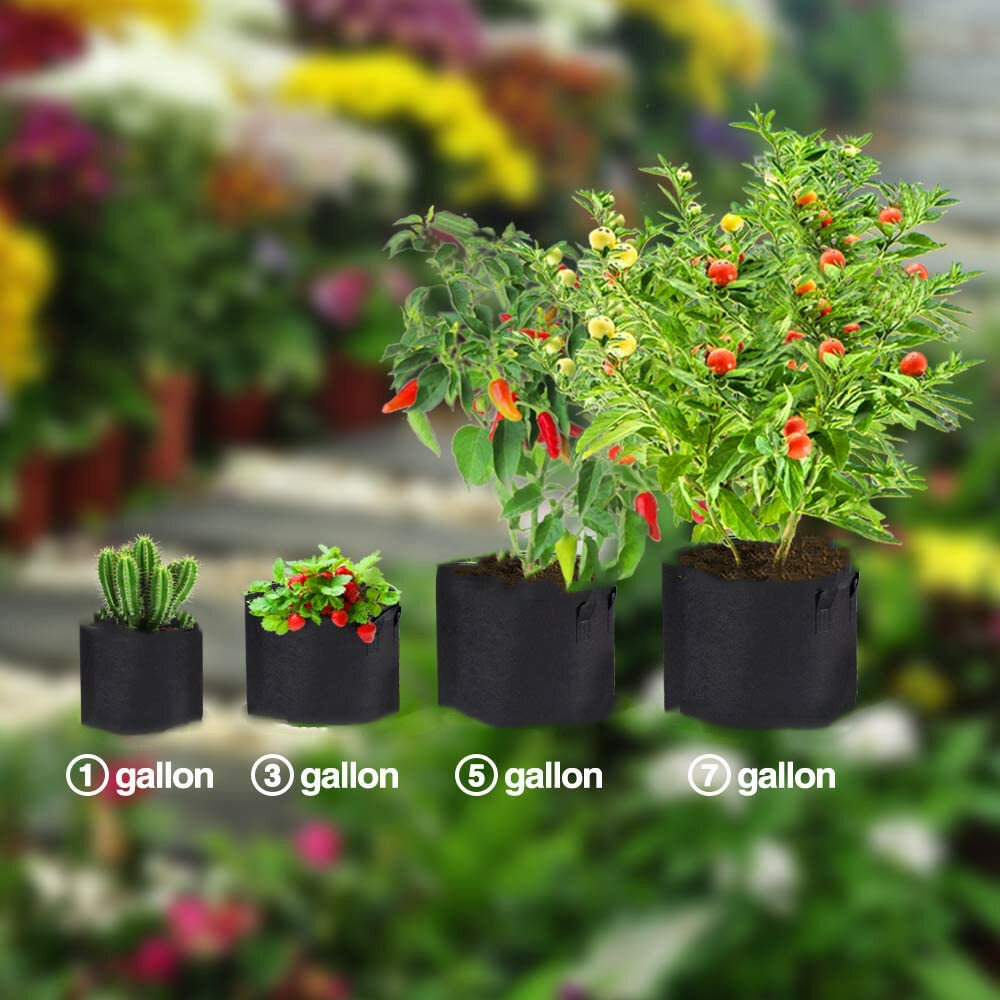 1-100Gallon Potato Planting Bag Pot Planter Growing Garden Vegetable Container CO