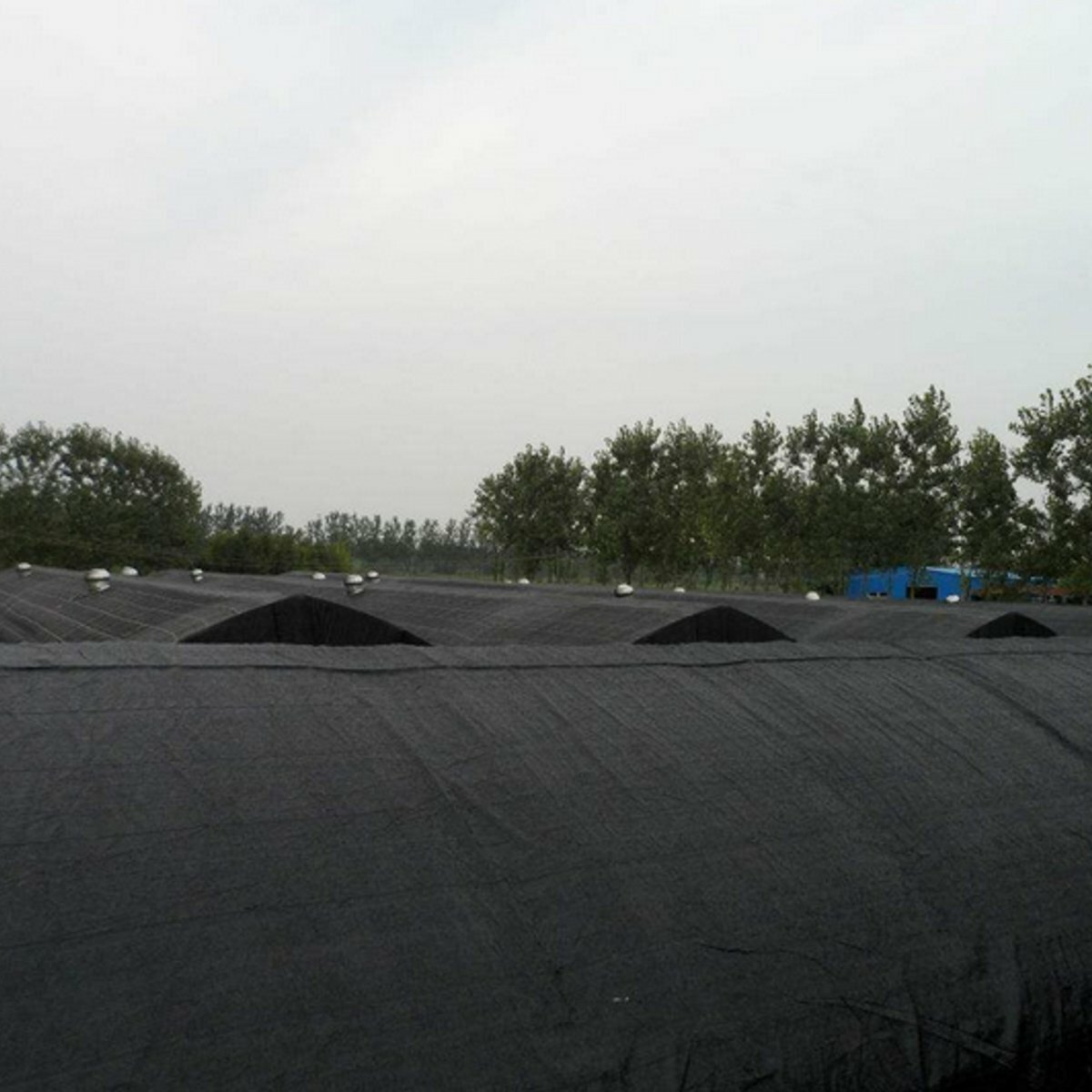 2x4.5m Black Sunblock Shade Cloth 50% UV Resistant Fabric Tarp Greenhouse Plant Cover